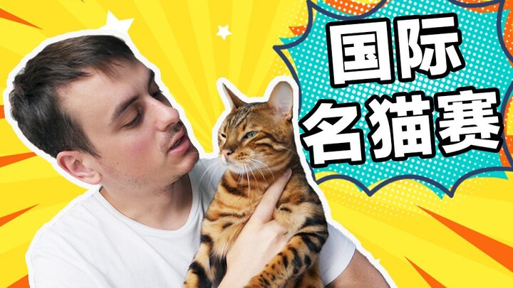 [Fulin Workshop] Massive Cat-Flirting Session, I’m Hooked!