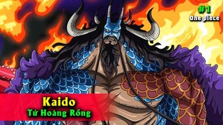 22 Sự Thật Tứ Hoàng Kaido - Lươn Văn Đô