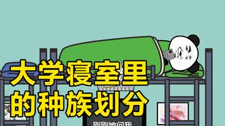 大学寝室里的种族划分