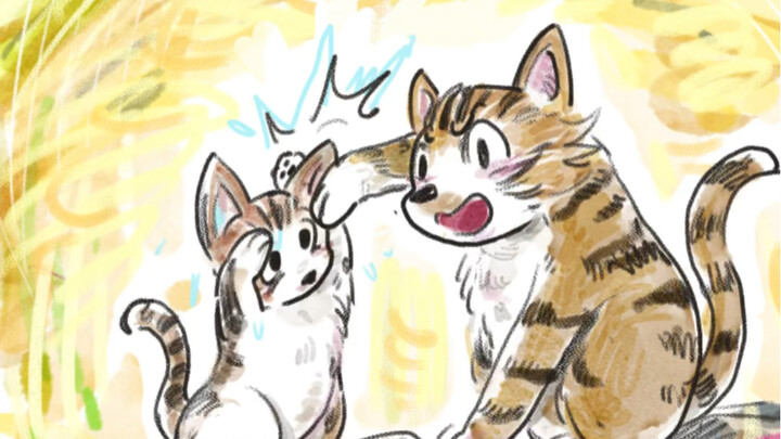 Ngay cả mèo con cũng phải biết cư xử lễ phép với người khác đấy!