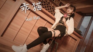 【九莯芊芊】乖猫ฅ二周年你将收获一只又肥又不乖的猫