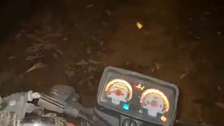 Apa yang harus kita lakukan, saudara-saudara? tolong aku!