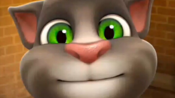 Talking Tom Cat - Fun Funny
