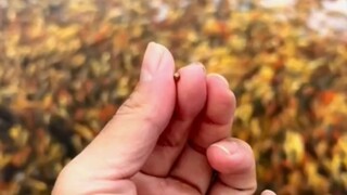 内卷现状！