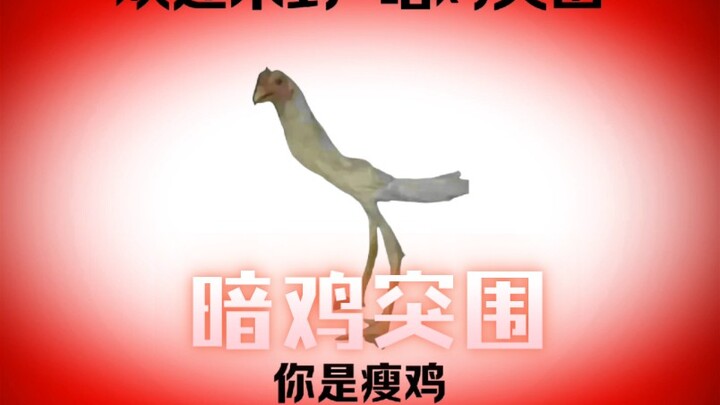 Chán chế độ Khu Tối rồi à? Thử ngay Chicken Run trong Khu Tối đi!