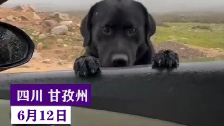 或许遇见就是缘分