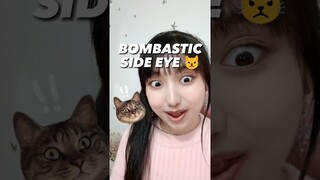 DITATAP NGER1 KUCING?!! 😾😩 #CumaKamuYangBisa #NgeShortsBarengbyU #OliviaValent