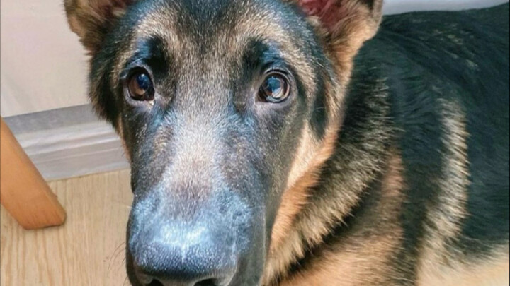 Setelah berpikir panjang, aku tetap memutuskan untuk membagikannya agar Xiao Hez bisa mengucapkan se