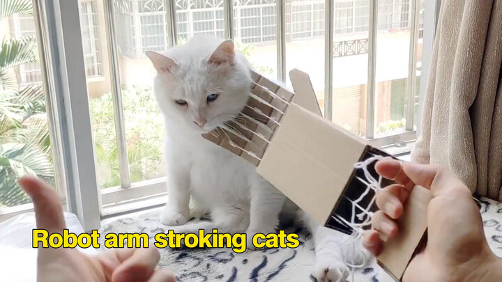 Making a Robotic Arm to Pet Cats