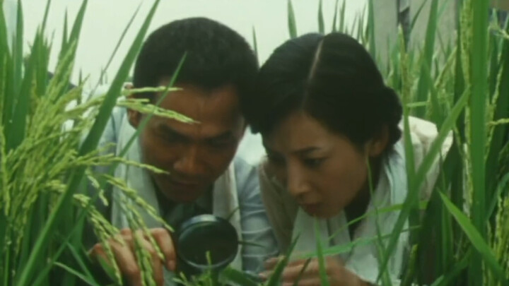 Một hạt lương thực có thể cứu cả một quốc gia, nhưng cũng có thể khiến một quốc gia sụp đổ!