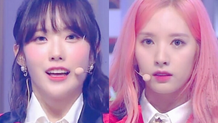 เอ๋ต้าทะลุ 20,000! เสวี่ยเอ๋นำโด่งตลอดสัปดาห์ ไข่ห่านที่แข็งแกร่ง+ยอดไลก์และยอดกดถูกใจของทุกคนเพิ่มข