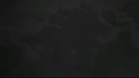 作证言