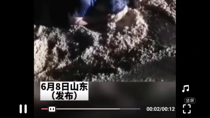 Từ nay xin hãy gọi tôi là nhà tiên tri