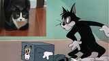 Sự kiện có thật của Tom và Jerry