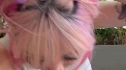 เวทมนตร์ของไอศกรีม 7