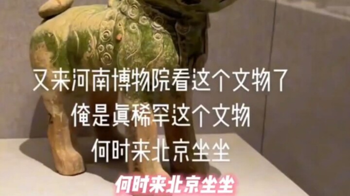 Major Provincial Museums: National Museum, please don’t come over!