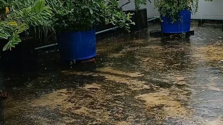 ভেজা সন্ধ্যা........