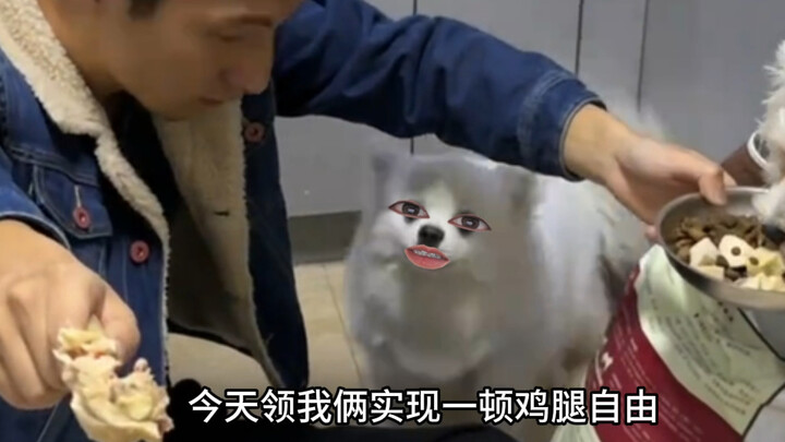 It's time for my bro and me to forget our roots!