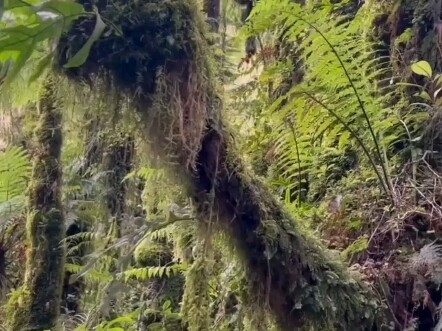 Không phải anh bạn à?