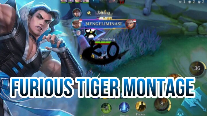 FURIOUS TIGER MONTAGE