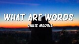 What Are Words - Chris Medina (Lyrics)