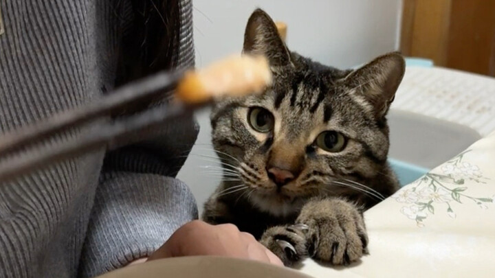 Akhirnya Mama saya berbesar hati sekali!