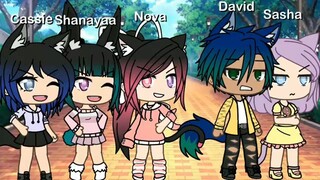 Toy SuperNova Gacha