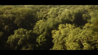 Anaconda (2026) – First Trailer | Dwayne Johnson
