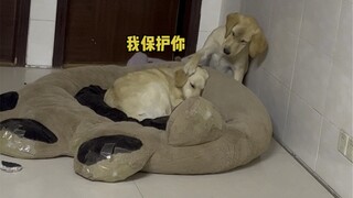 Sau đó kể lại câu chuyện của bạn