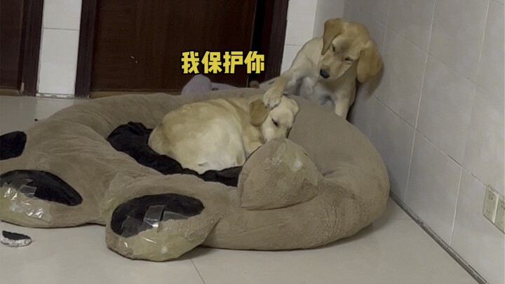 Sau đó kể lại câu chuyện của bạn