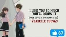 I Like You so Much You'll Nnow it 《 Lyrics video 》