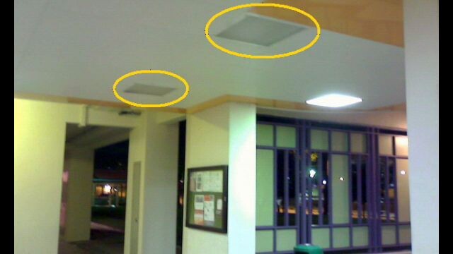 Twinkle Twinkle Little Star