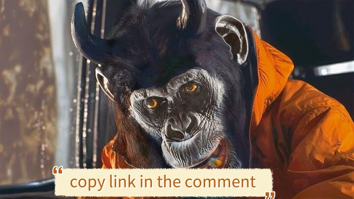 primate 2026