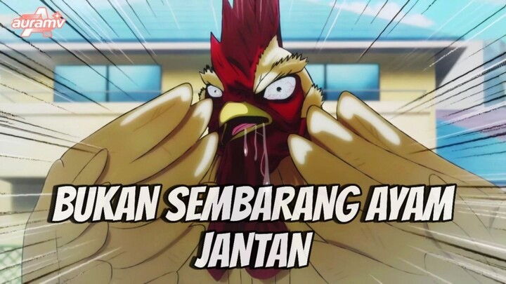 #TantanganAMV • NIWATORI FIGHTER 🐔🐔 | KUKURUYUK‼️ SEKALI ULTI LANGSUNG MENINGGOI 🤣