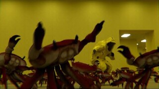 【backroom/rear room/video tape】crab carnival in the backroom?