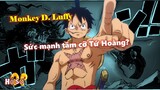 MONKEY D. LUFFY: Sức mạnh tầm cỡ Tứ Hoàng? Luffy đã thắng được Đô Đốc?