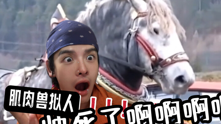 If these horses were personified, wouldn’t they be absolutely adorable…?