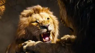 Lion Cub Revenges for His Father and Becomes the King | The Lion King