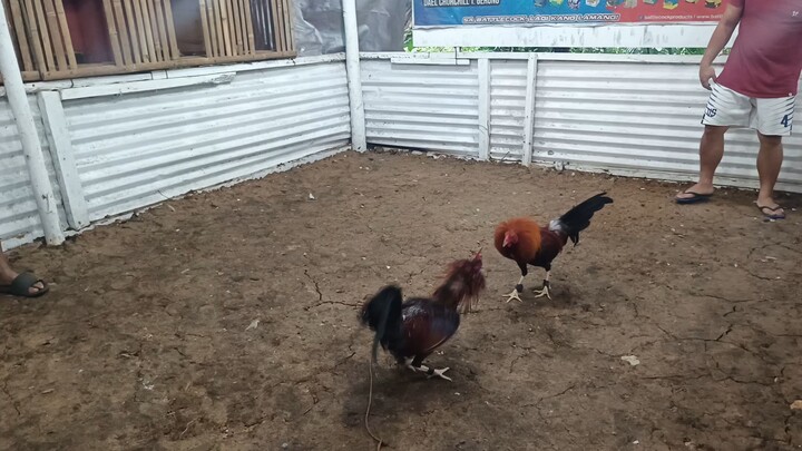 august 17, 2025 sparring session