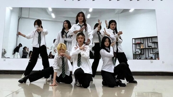 Snake Academy choreography review site | Mr. Si, do you think the quality of this program can pass t