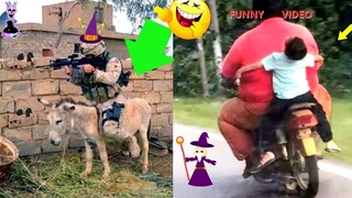 1 HOUR] TRY NOT TO LAUGH - Best Funny Vines of The YEAR! 2022