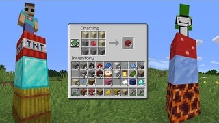 Minecraft Block Shuffle...