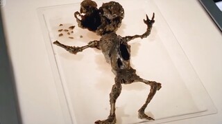 即将出生的婴儿和母亲一起被杀害扔进河里 "美剧 "悬疑