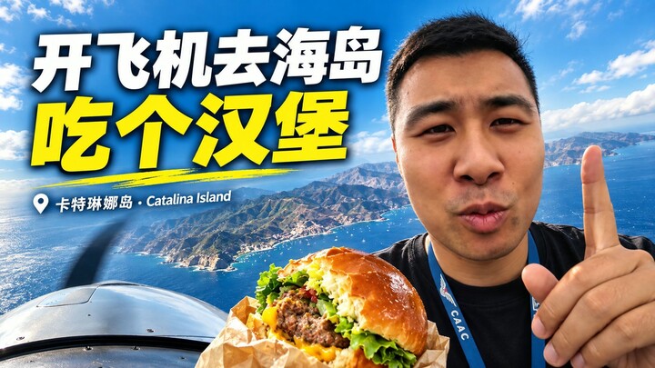 开飞机吃汉堡！