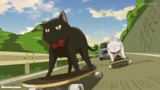 Kucing racing😂 (Anime Mono)