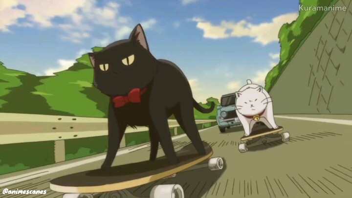 Kucing racing😂 (Anime Mono)