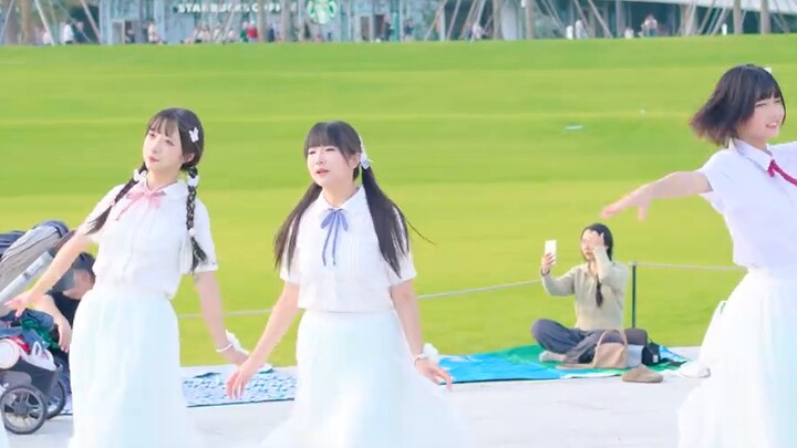 [First domestic group rendition] "Summer's whereabouts" ❀ | Island ball Mingguang Doutong