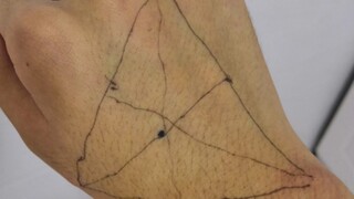 这是数学老师养的蚊子嘛？