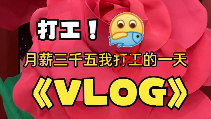 Một ngày làm việc của tôi