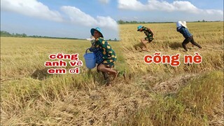 Tư lên kế hoạch trả đũa vợ làm vợ  quá giận